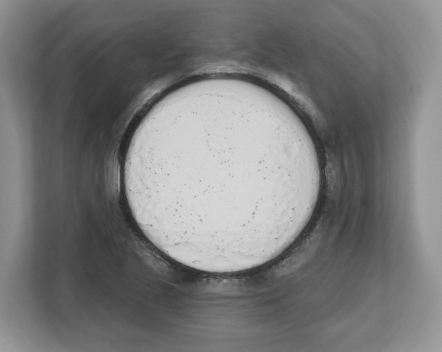 X0000112501221200909141217