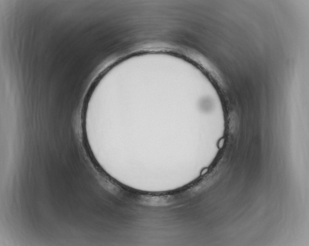 X0000112501229200909141217