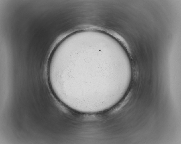 X0000112501231200909141217