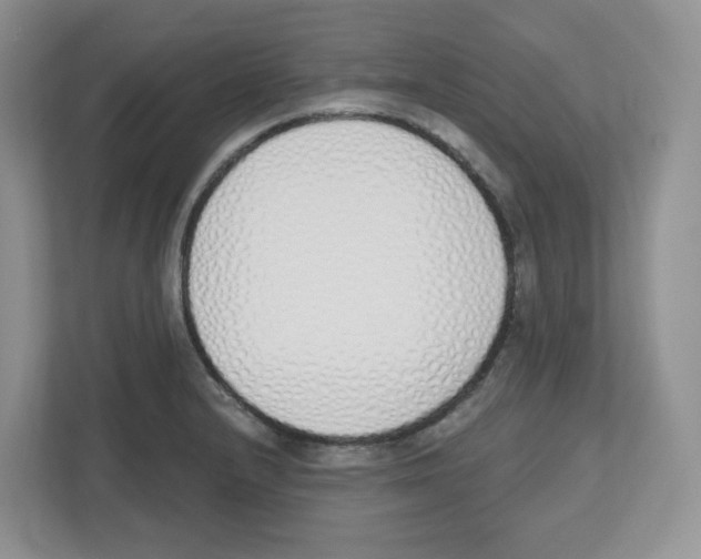 X0000112501232200909141217