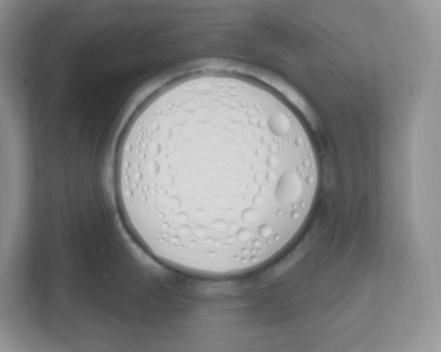 X0000112501247200909141218