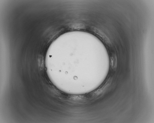 X0000112501251200909141217