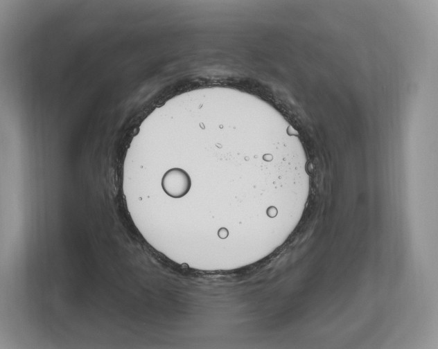 X0000112501253200909141217