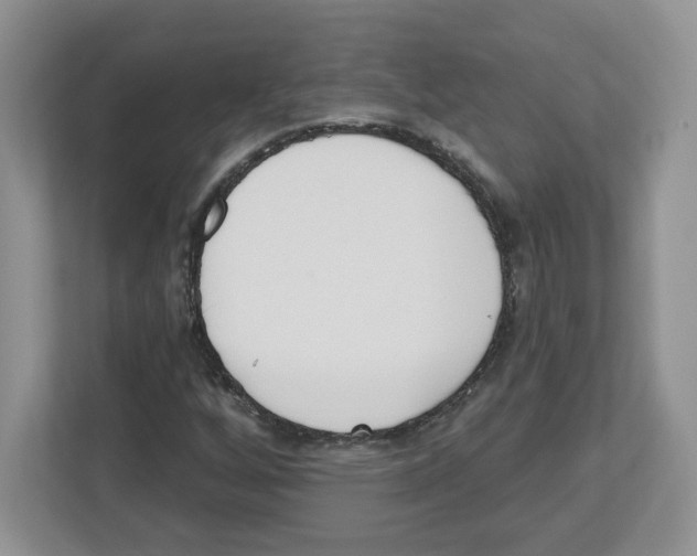 X0000112501256200909141217