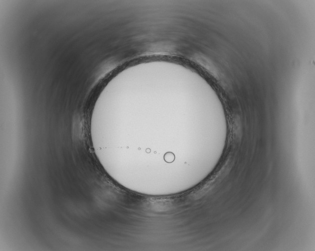 X0000112501258200909141217