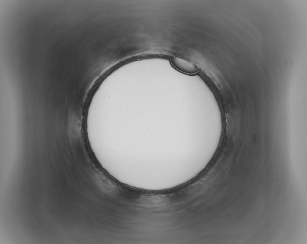 X0000112501260200909141217