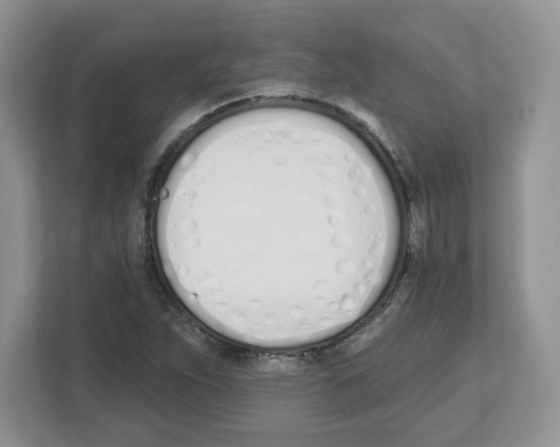 X0000112501263200909141217