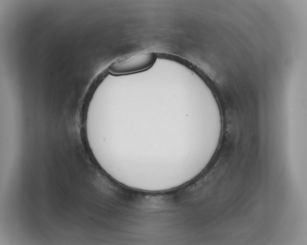 X0000112501264200909141217