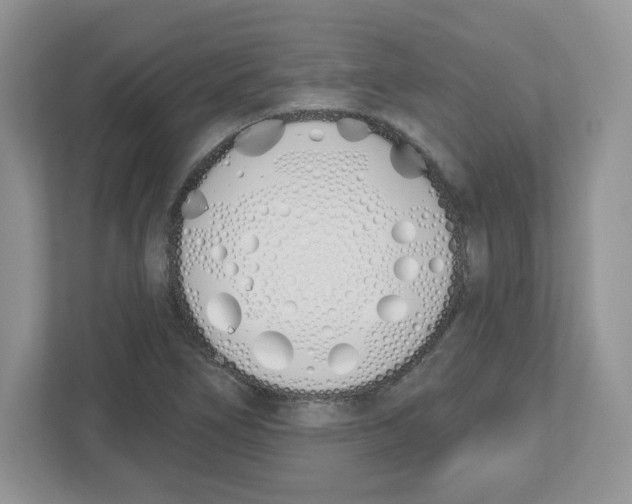 X0000112501266200909141217