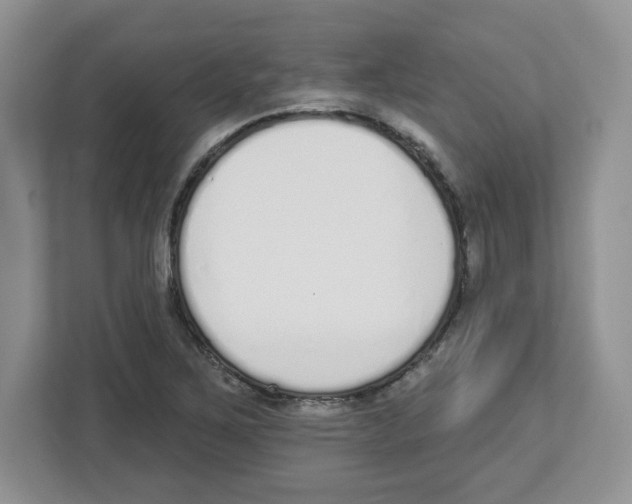 X0000112501267200909141217