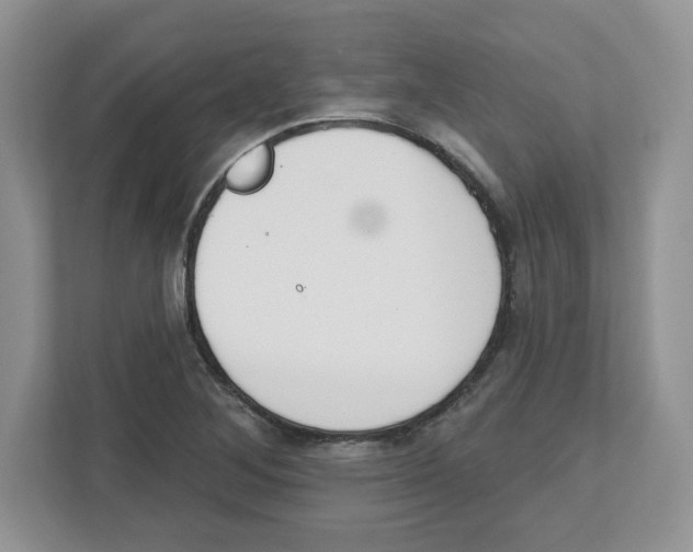 X0000112501268200909141217