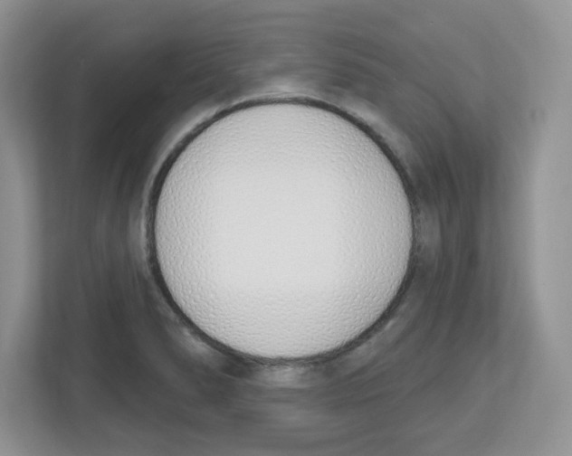 X0000112501278200909141217