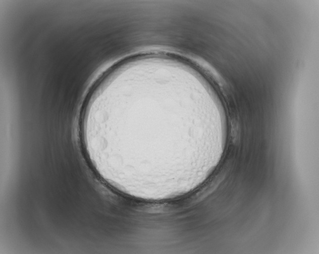 X0000112501279200909141217