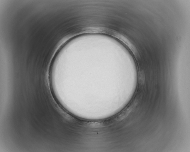 X0000112501283200909141217