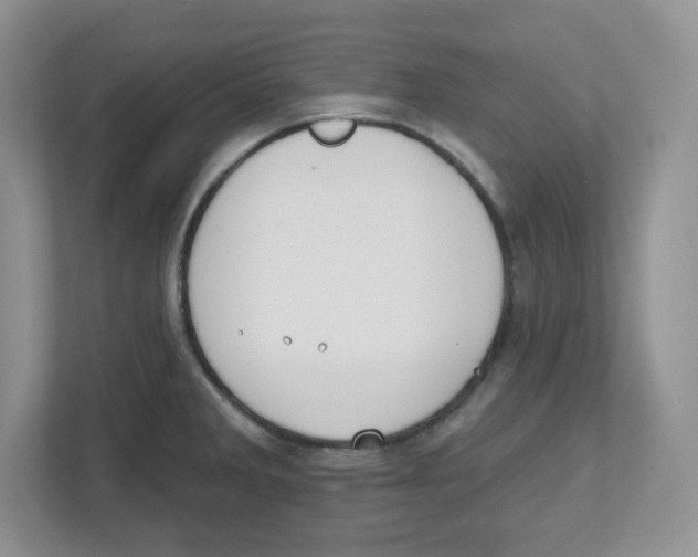 X0000112501285200909141217