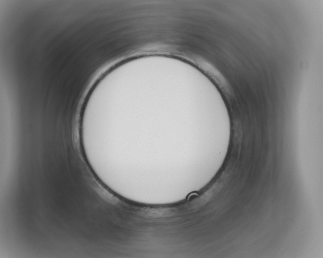 X0000112501288200909141217