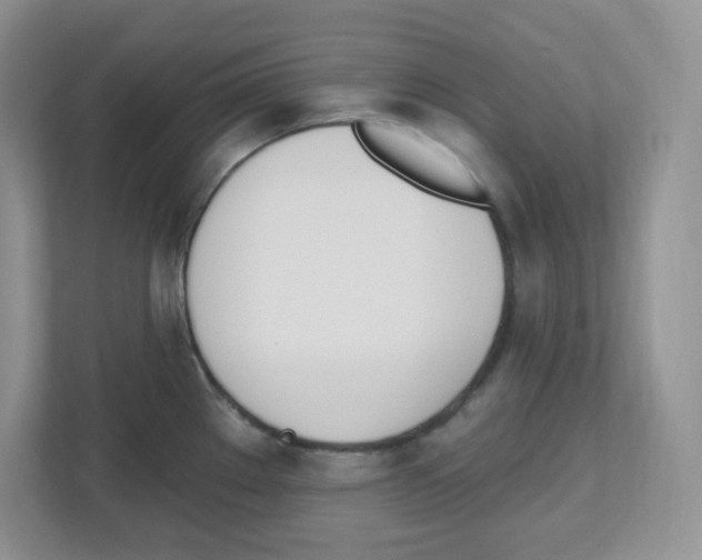 X0000112501289200909141217