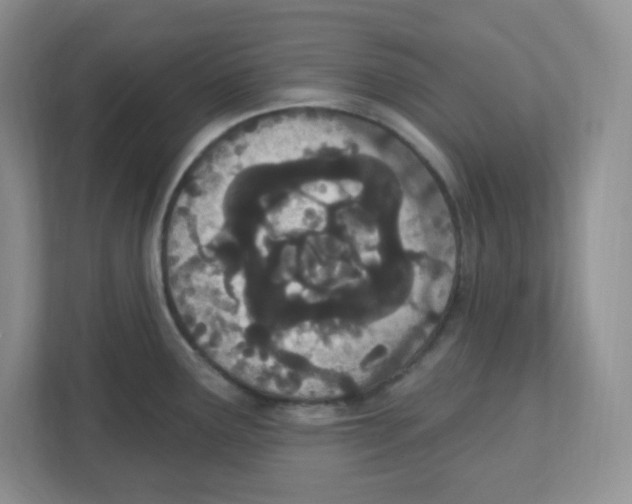 X0000112501291200909141216