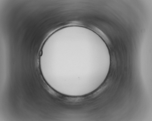 X0000112501292200909141216