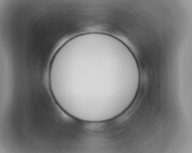 X0000112501294200909141216