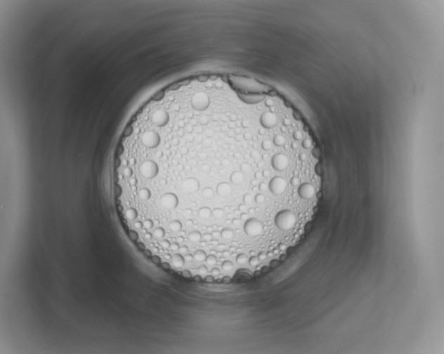 X0000112501295200909141216