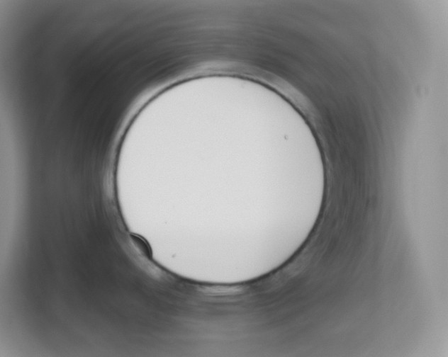 X0000112501296200909141216