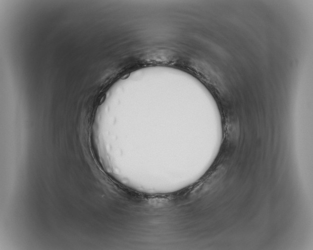 X0000112501297200909141216