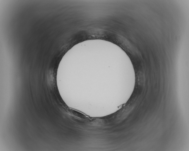 X0000112501298200909141216