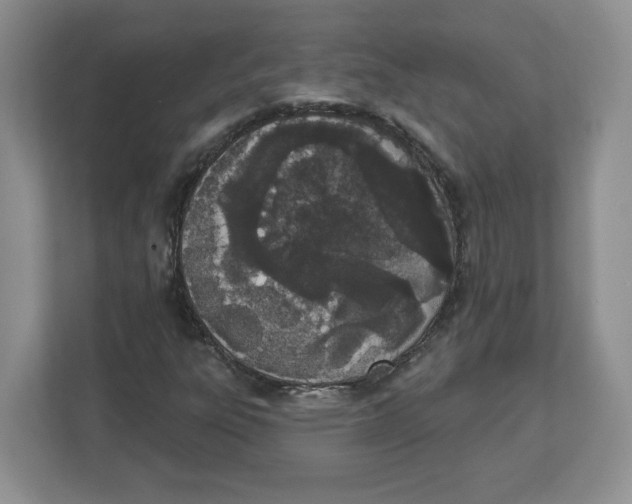 X0000112501303200909141216