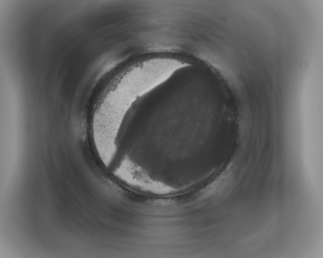 X0000112501306200909141216