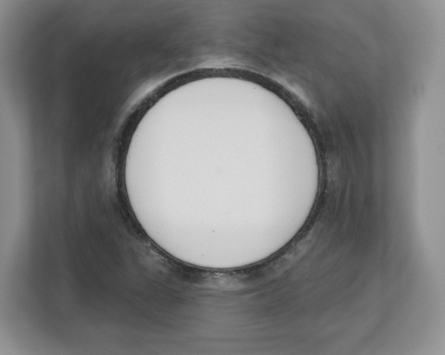 X0000112501311200909141216