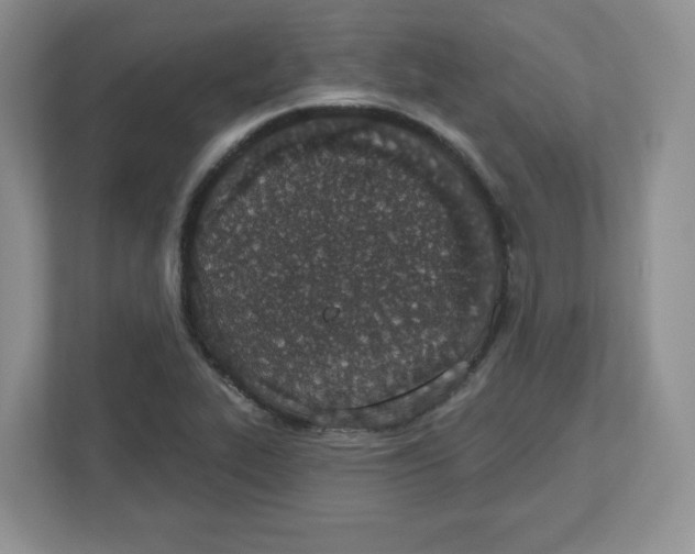 X0000112501319200909141216