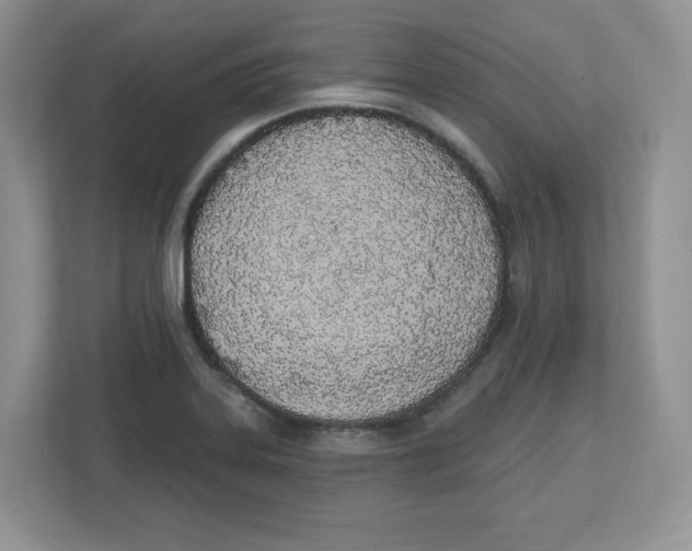 X0000112501323200909141216