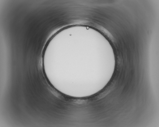 X0000112501324200909141216