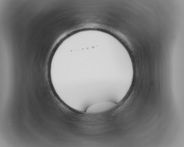 X0000112501326200909141216