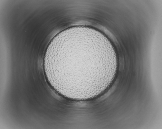 X0000112501329200909141216