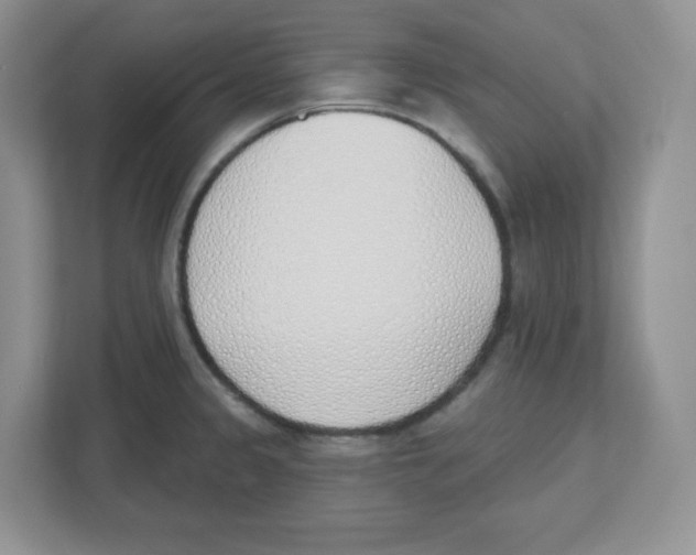 X0000112501333200909141216