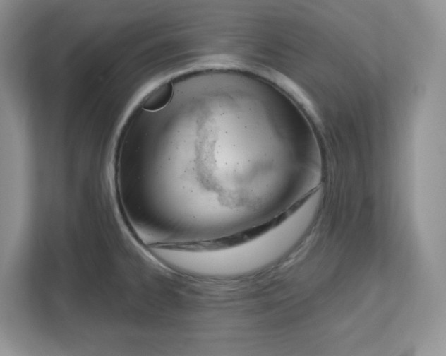 X0000112501334200909141216