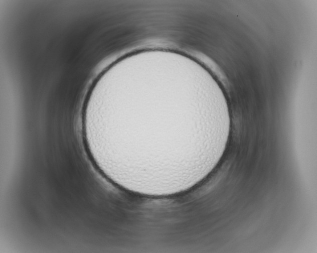 X0000112501335200909141216