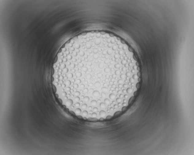 X0000112501337200909141216