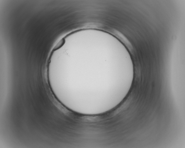 X0000112501340200909141216