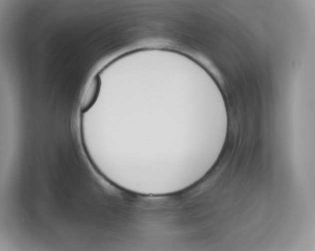 X0000112501343200909141216