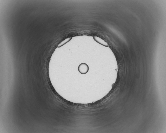 X0000112501345200909141216