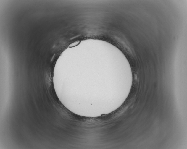 X0000112501348200909141216