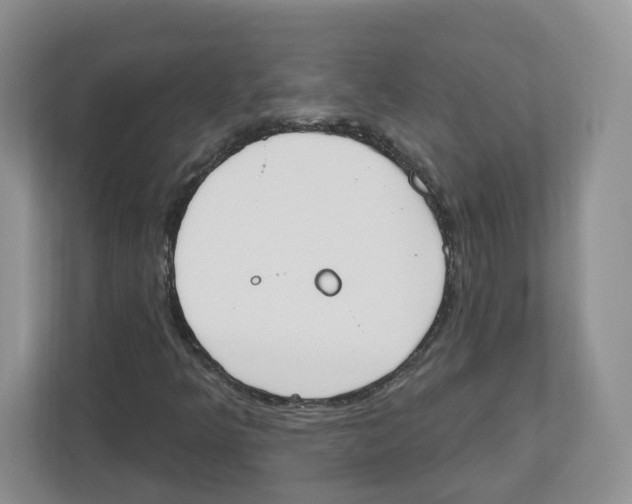 X0000112501349200909141216