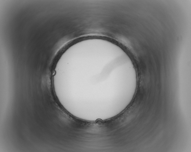 X0000112501360200909141216