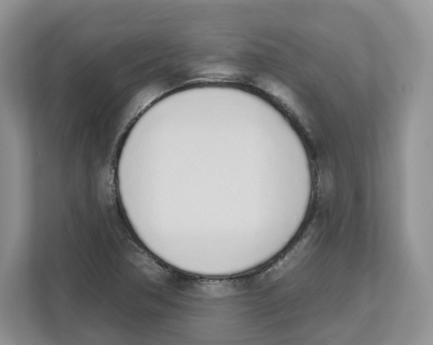 X0000112501362200909141216