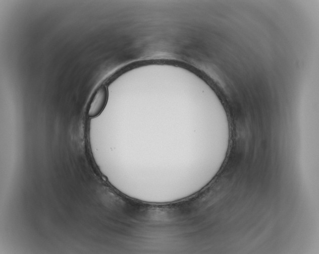 X0000112501364200909141216