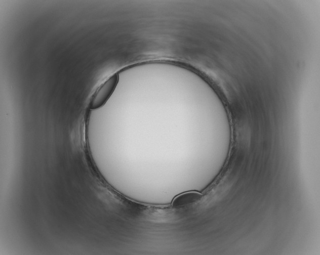 X0000112501365200909141216