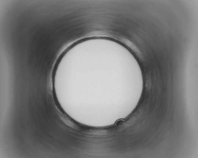 X0000112501372200909141215